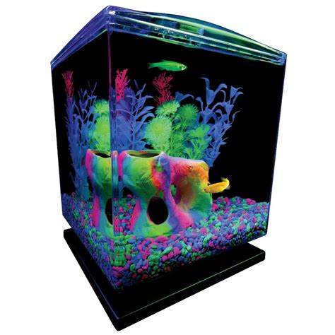 glofish tanks|best tank for glofish.